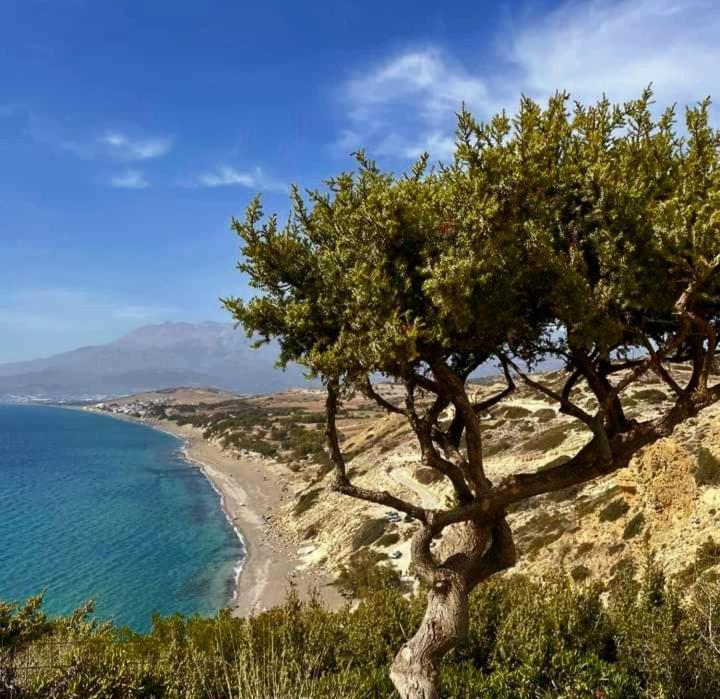 Ilios Kalamaki Bagian luar foto